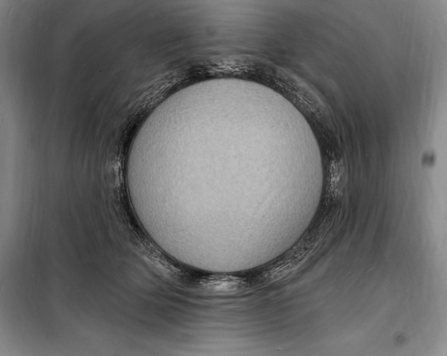 X0000098230514200805151344