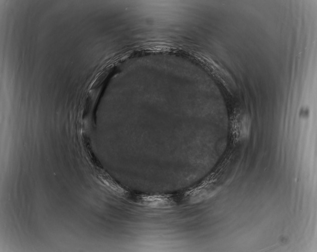 X0000098230516200805151344