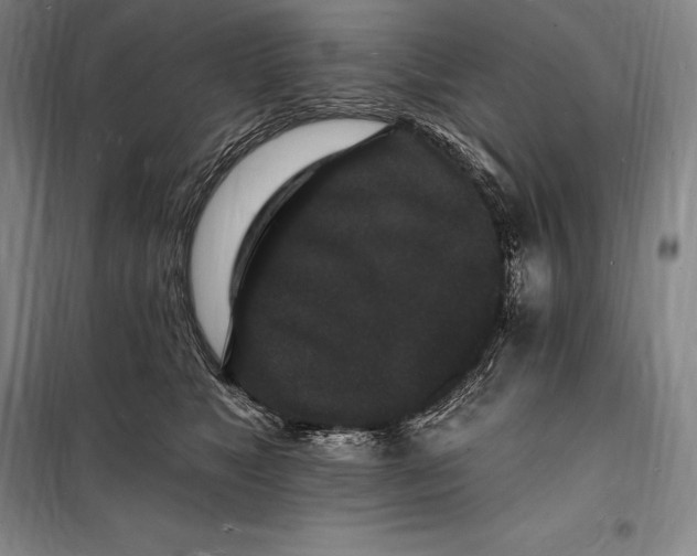 X0000098230517200805151344