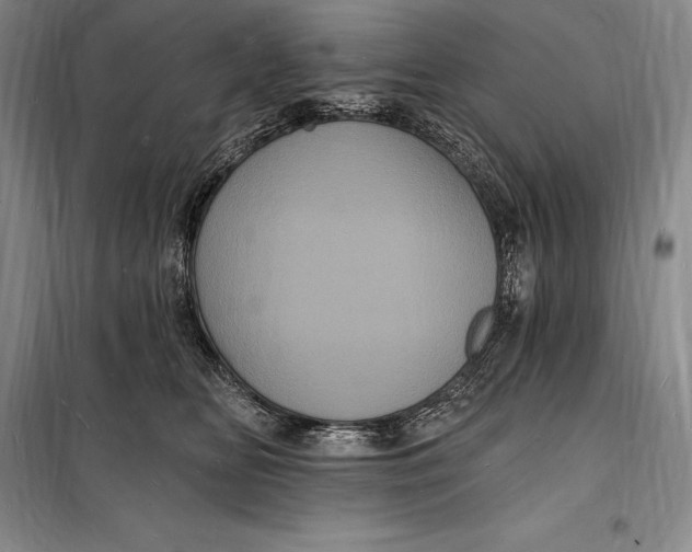 X0000098230518200805151344