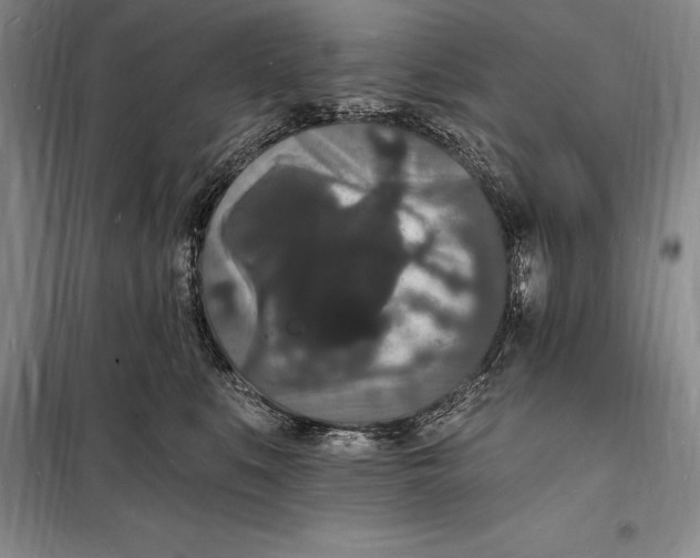 X0000098230519200805151344