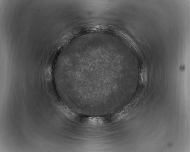 X0000098230520200805151344