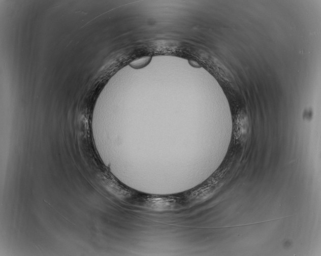 X0000098230522200805151344