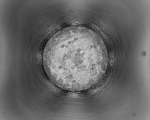 X0000098230523200805151344