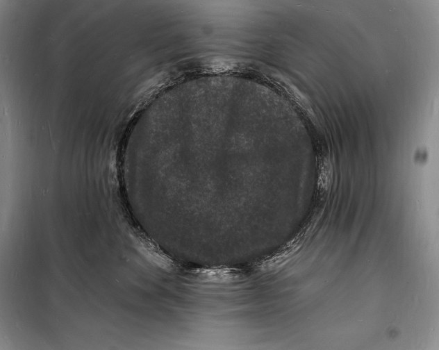 X0000098230524200805151344