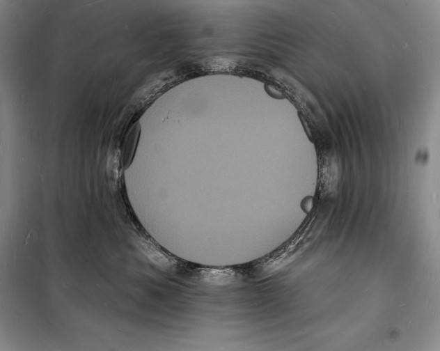 X0000098230525200805151344