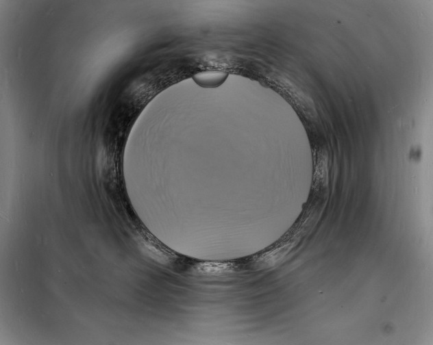 X0000098230526200805151344