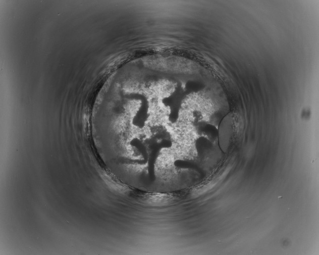 X0000098230527200805151344