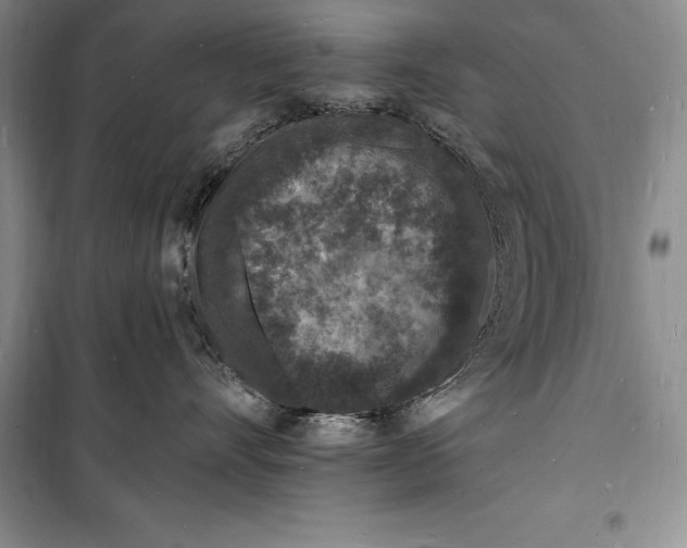 X0000098230528200805151344