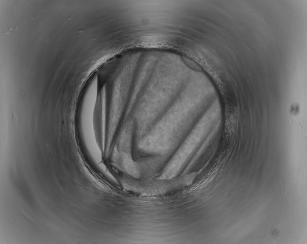 X0000098230530200805151343