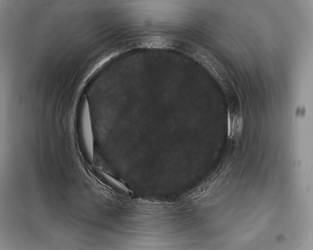 X0000098230531200805151343