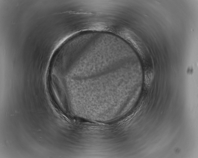 X0000098230532200805151343