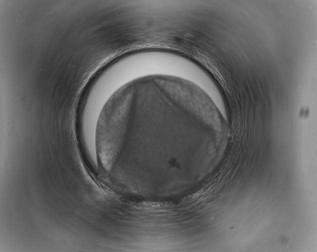 X0000098230534200805151343