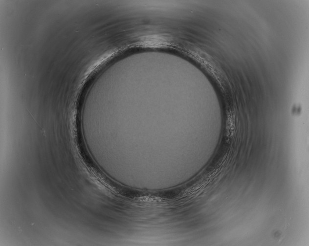 X0000098230535200805151343