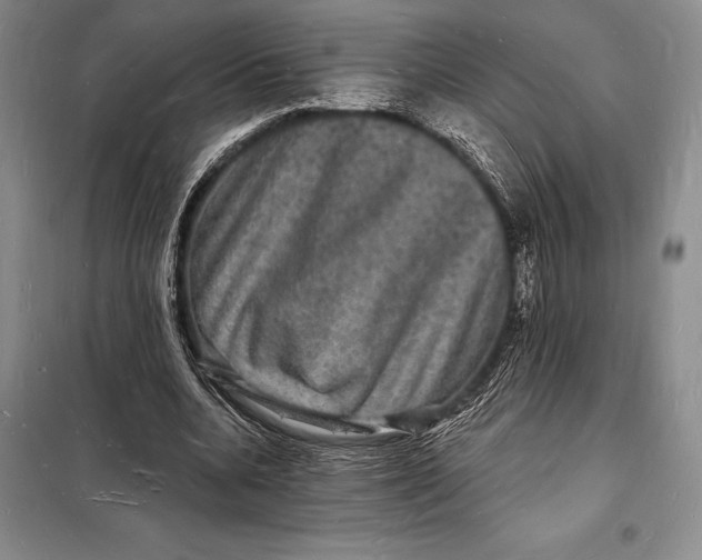 X0000098230536200805151343