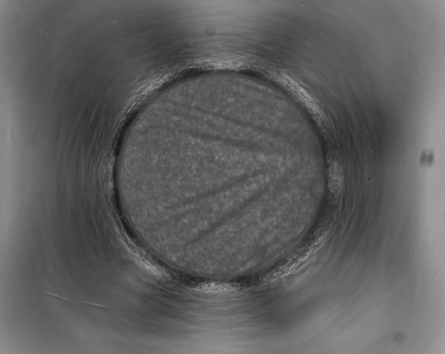 X0000098230537200805151343