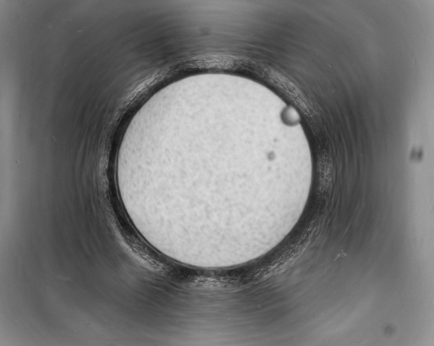 X0000098230538200805151343