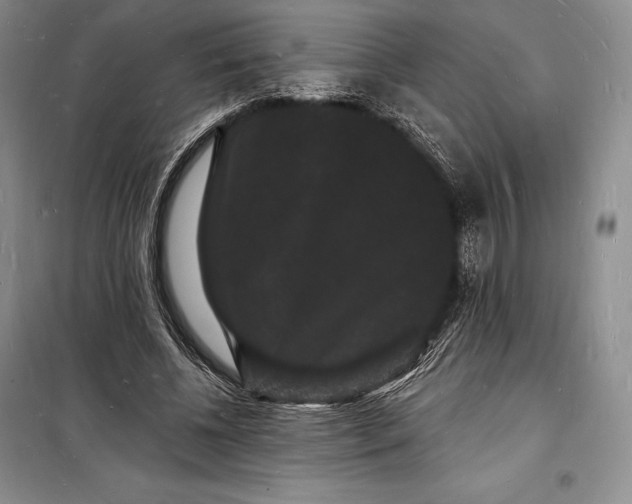 X0000098230540200805151343