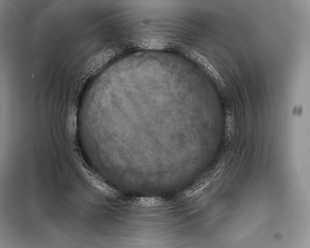 X0000098230541200805151343