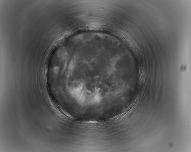 X0000098230542200805151343