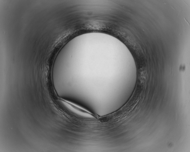 X0000098230544200805151343