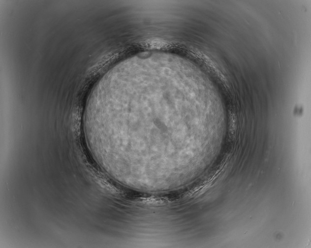 X0000098230545200805151343