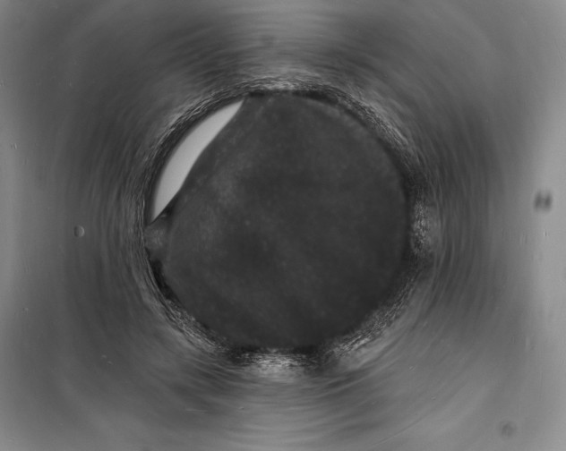 X0000098230547200805151343