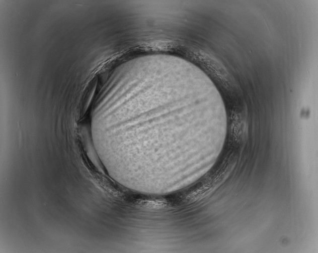 X0000098230548200805151343