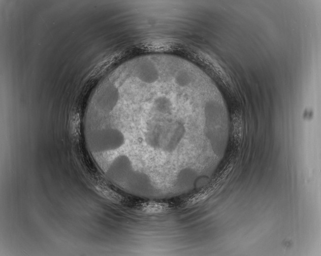 X0000098230549200805151343