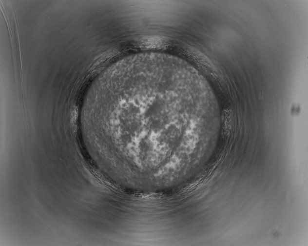 X0000098230550200805151343