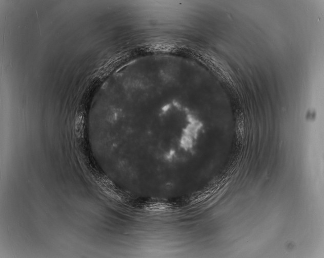 X0000098230551200805151343