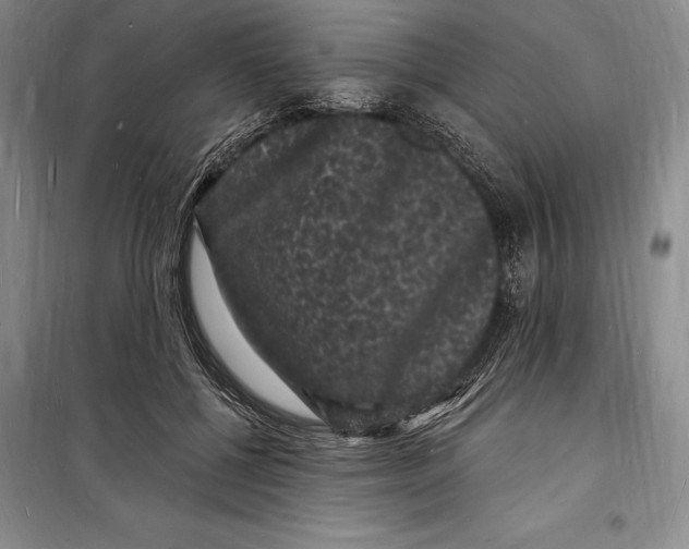 X0000098230552200805151343