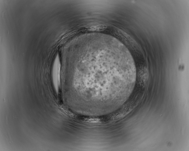 X0000098230554200805151344