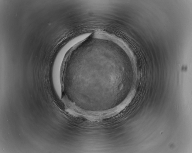 X0000098230556200805151344