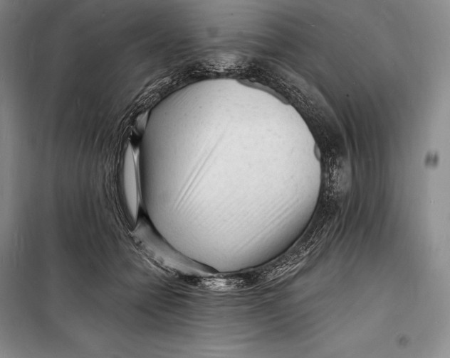 X0000098230558200805151344