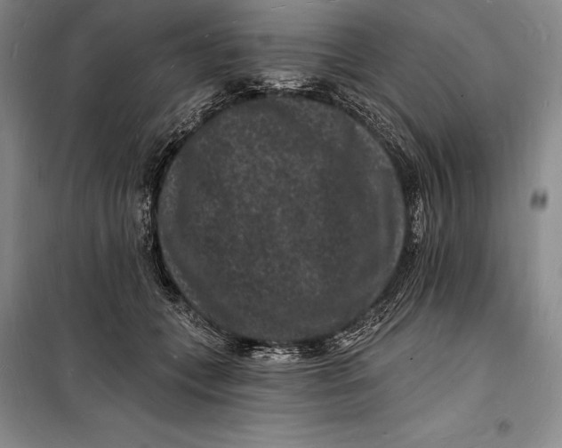 X0000098230559200805151344