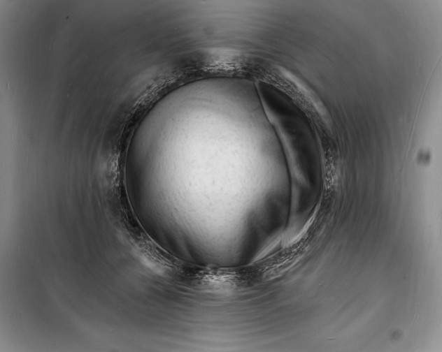 X0000098230560200805151344