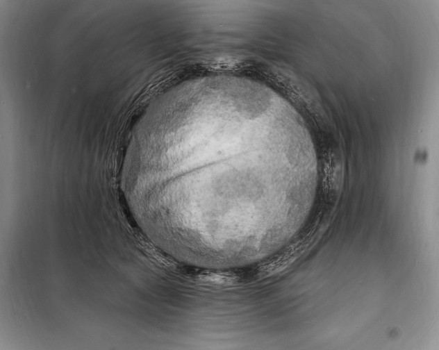 X0000098230561200805151344