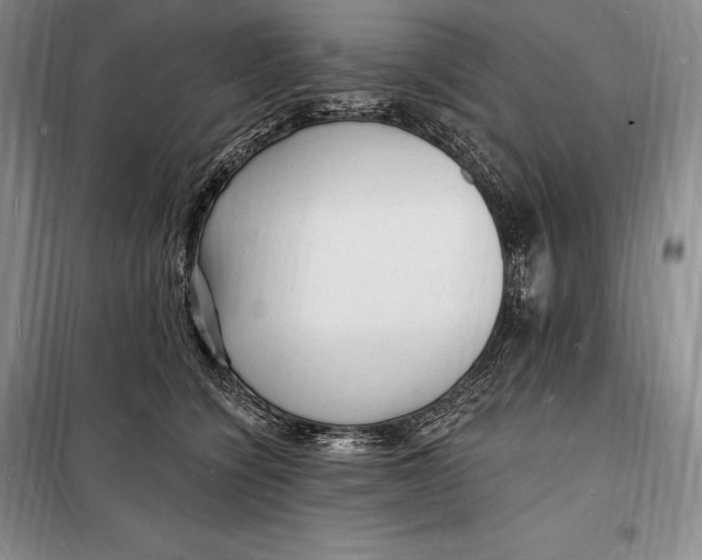 X0000098230564200805151344