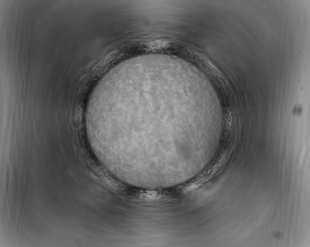 X0000098230565200805151344