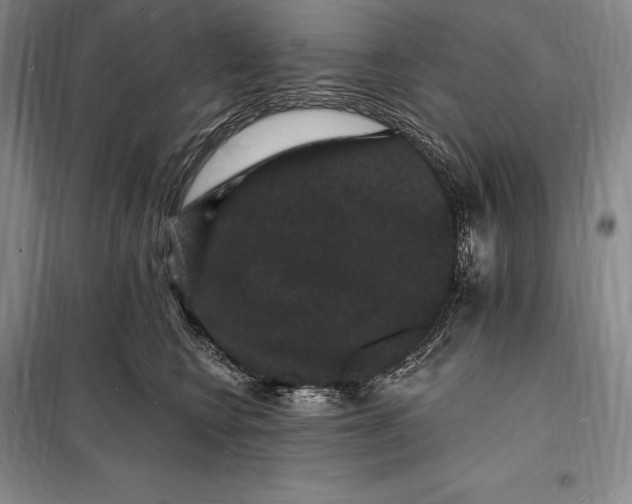 X0000098230566200805151344