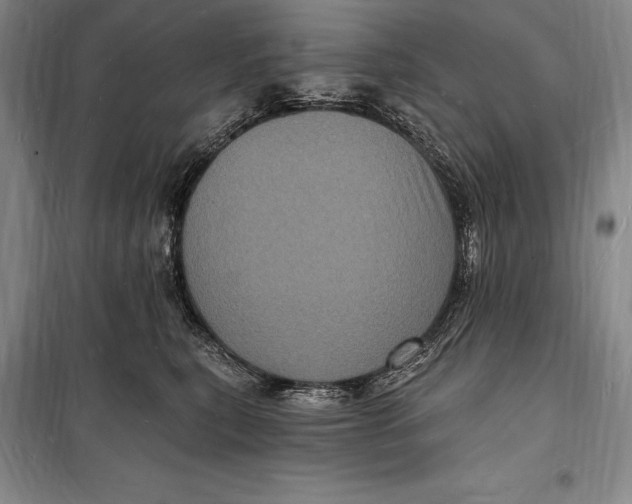 X0000098230567200805151344