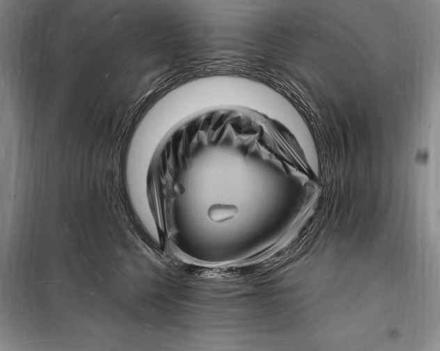 X0000098230568200805151344