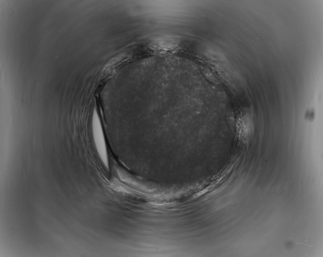 X0000098230570200805151344