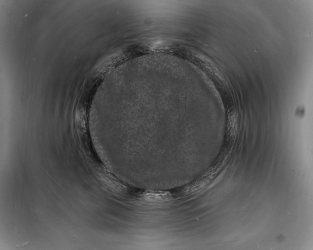 X0000098230571200805151344