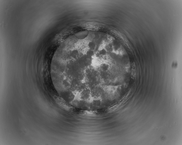 X0000098230573200805151344