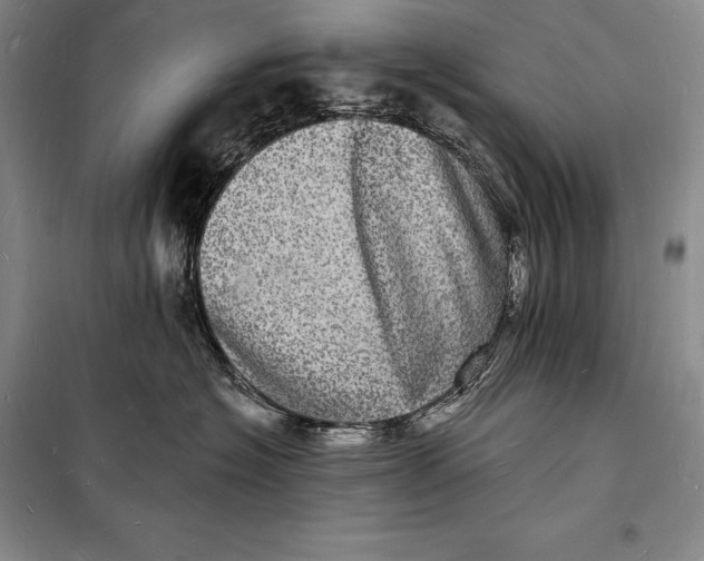 X0000098230574200805151344