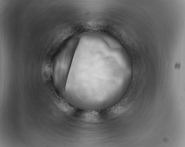 X0000098230576200805151344