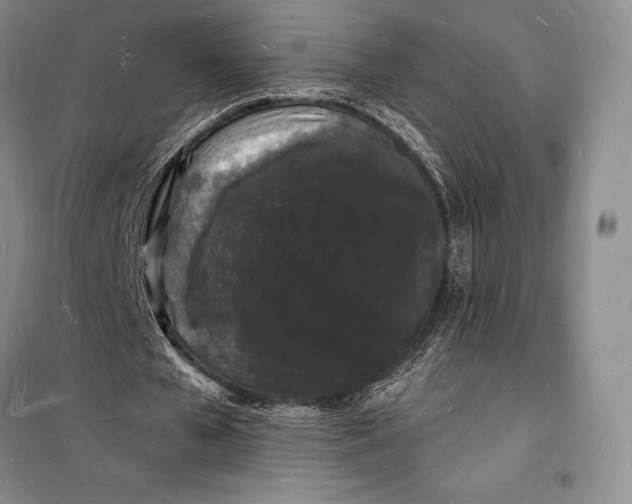 X0000098230577200805151343