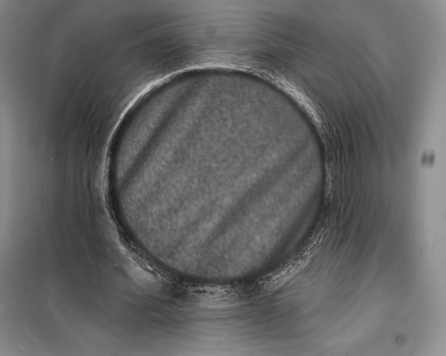 X0000098230580200805151343